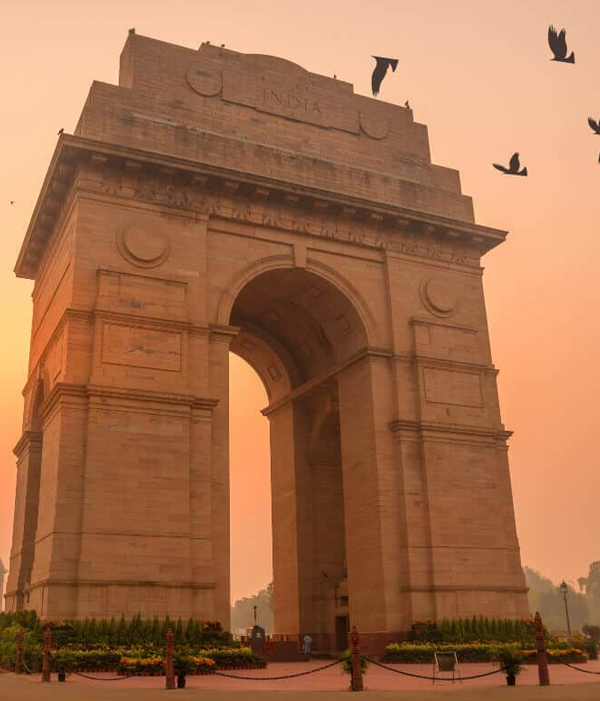 Delhi sightseeing tour by Force Urbania